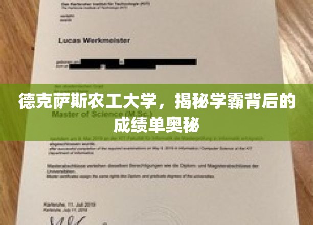 揭开德克萨斯农工大学学霸的秘密，高效学习背后的成绩单解码