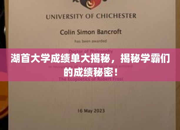 湖首学霸成绩背后的惊人真相，揭秘学术巅峰的秘密！