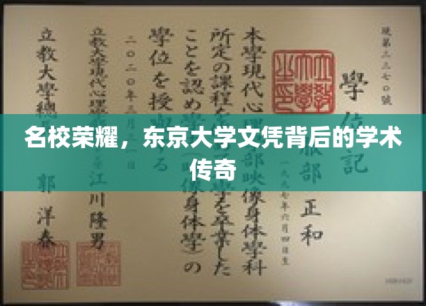 名校荣耀，东京大学文凭背后的学术传奇
