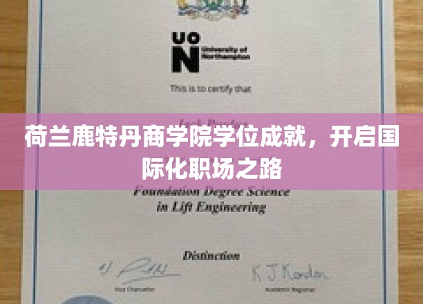 鹿特丹商学院学位成就，开启国际化职场之路
