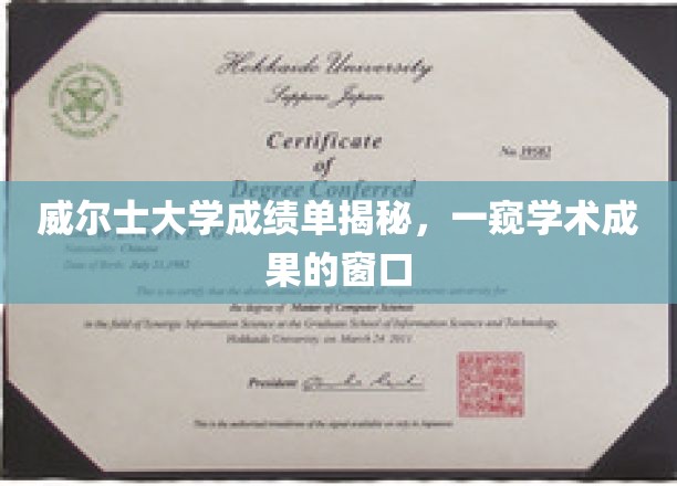 威尔士大学成绩单揭秘，一窥学术成果的窗口