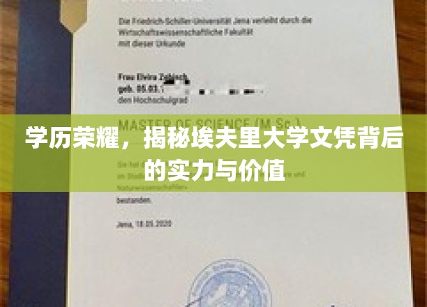 埃夫里大学文凭，解码学历背后的非凡实力与珍贵价值