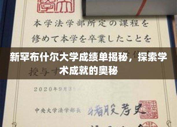 解锁新罕布什尔大学成绩单，揭秘学术卓越的背后秘密