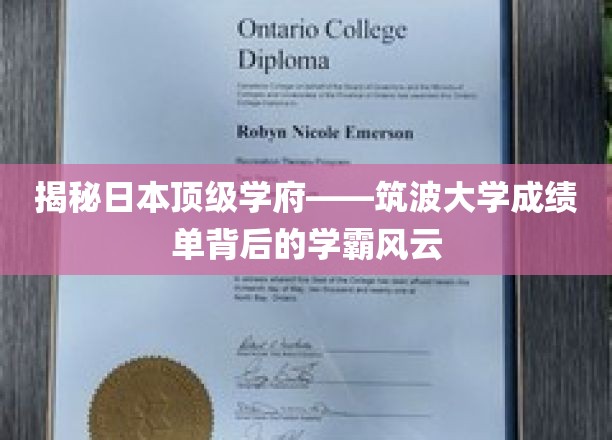 筑波大学学霸传奇，揭秘日本顶尖学府的学术精英风采