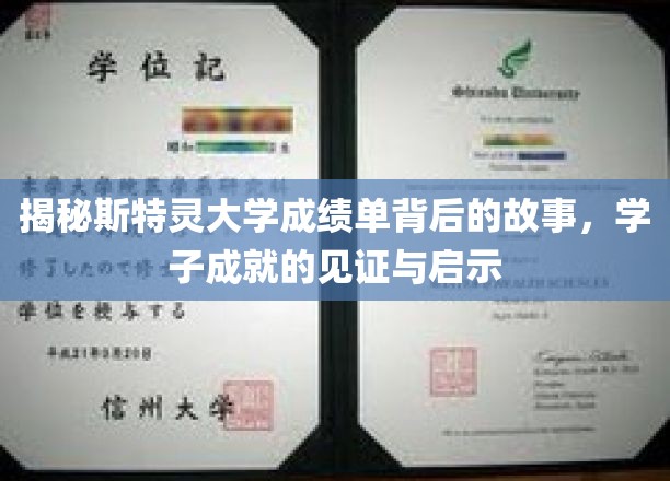 斯特灵大学成绩单，学子辉煌成就的密码与启示