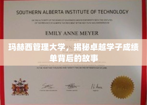 玛赫西管理大学，揭秘卓越学子成绩单背后的故事