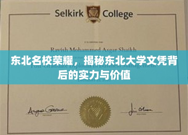 东北名校风华录，解码东大文凭的含金量与影响力