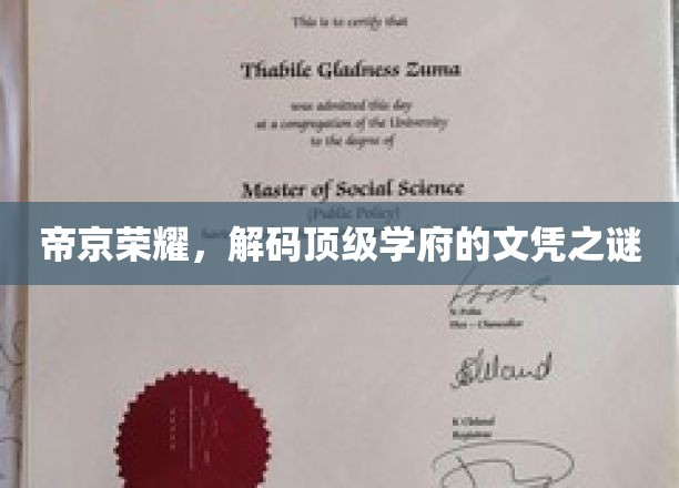 帝京荣耀，解码顶级学府的文凭之谜