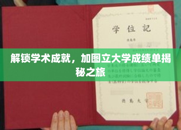 探索加图立大学成绩单背后的学术奥秘