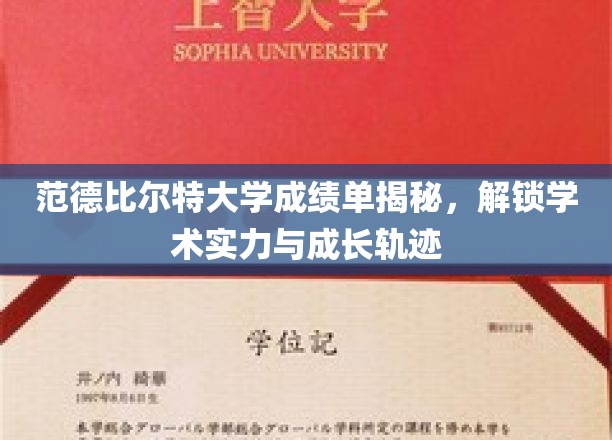 探寻范德比尔特大学成绩单背后的学术密码，揭秘学子成长之路