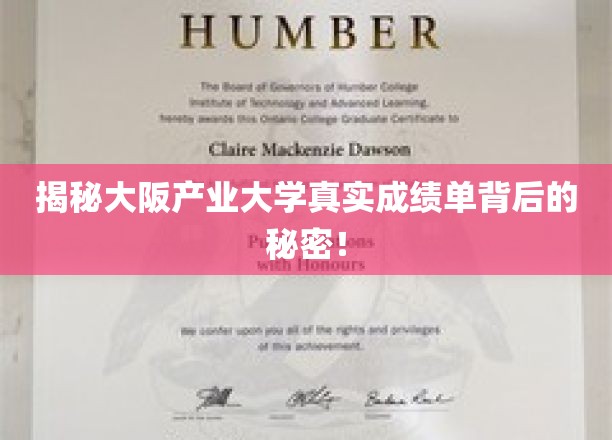 一探究竟：大阪产业大学成绩单背后的奥秘！