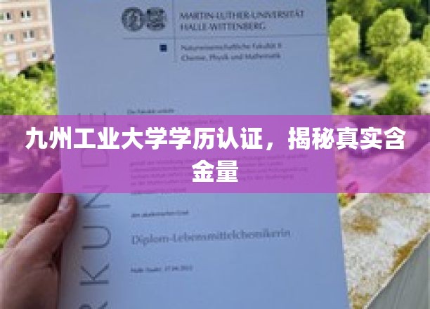 九州工业大学学历认证，揭秘真实含金量