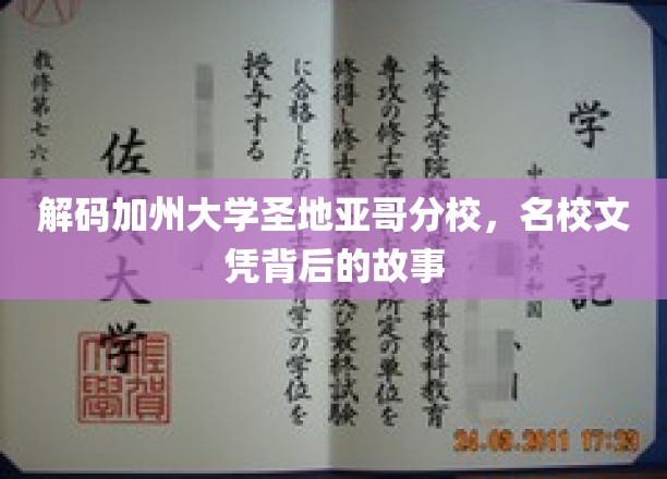 探秘加州圣地亚哥分校，名校光环下的真实画卷