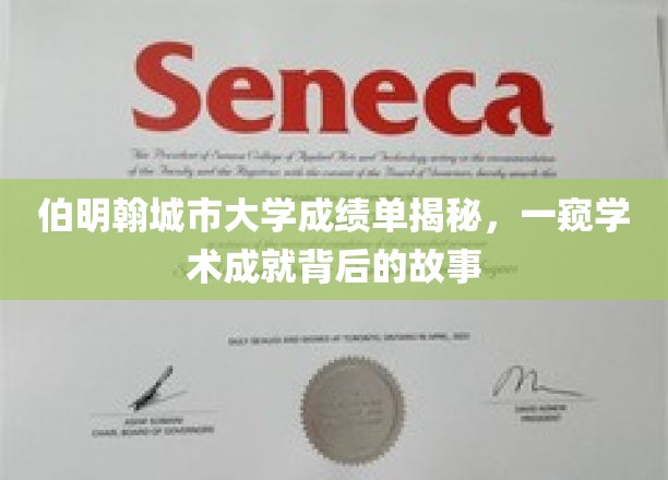 伯明翰城市大学成绩单背后的学术传奇揭秘之旅
