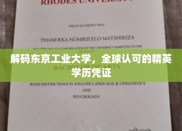 探索东京工业大学，国际认可的高学历通行证背后的秘密