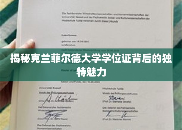 揭秘克兰菲尔德大学学位证背后的独特魅力