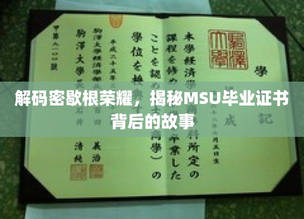 解码密歇根荣耀，揭秘MSU毕业证书背后的故事