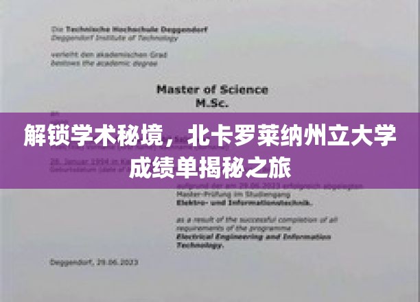 探寻北卡罗莱纳州立大学背后的学术奥秘，成绩单探秘之旅