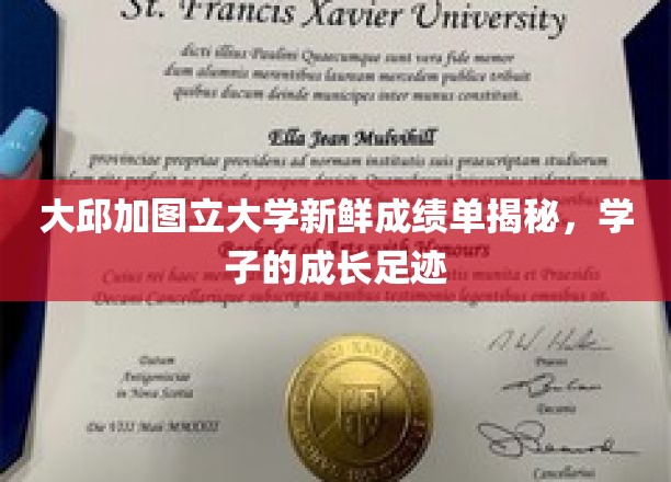 解码青春足迹，大邱加图立大学学子成绩单背后的成长故事