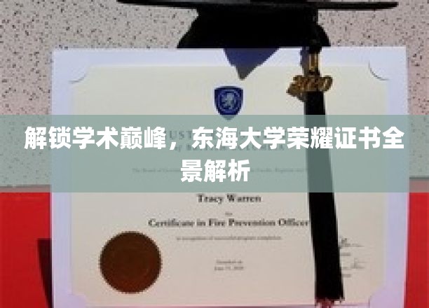 东海大学荣誉证书全解析，揭秘学术荣耀之路