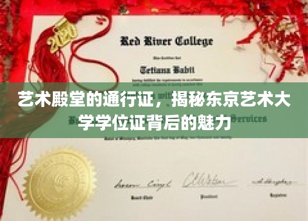 艺术殿堂的通行证，揭秘东京艺术大学学位证背后的魅力