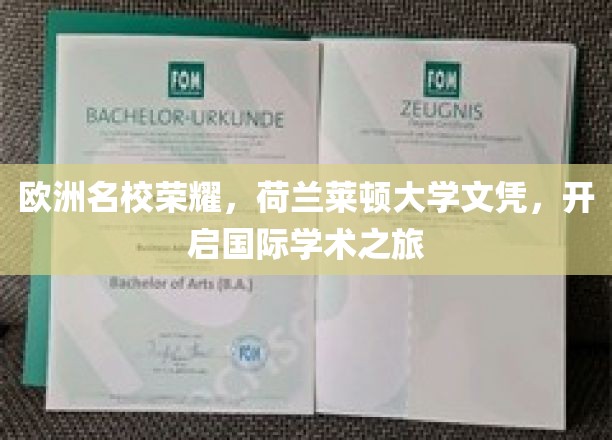 欧洲名校荣耀，荷兰莱顿大学文凭，开启国际学术之旅