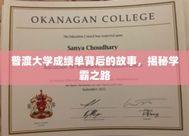 探寻普渡学霸秘籍，成绩单背后的成长传奇