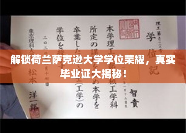 荷兰萨克逊大学学位真迹揭秘，揭开荣耀背后的真实历程