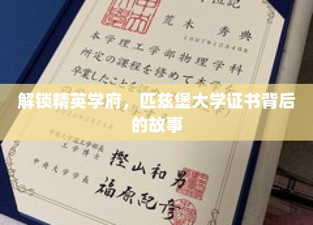 探寻匹兹堡大学证书的精英奥秘