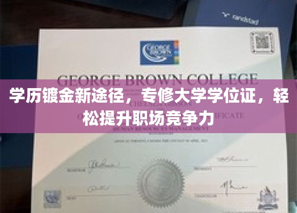 学历镀金新途径，专修大学学位证书，轻松提升职场竞争力