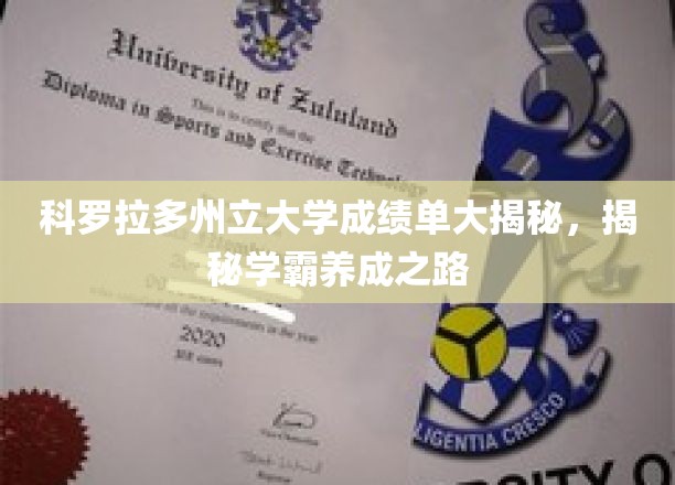 科罗拉多州立大学成绩单大揭秘，揭秘学霸养成之路