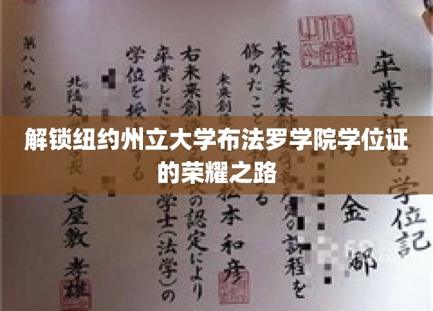 追寻纽约州立大学布法罗学院荣耀学位的成就之旅