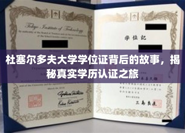 杜塞尔多夫大学学位证背后的故事，揭秘真实学历认证之旅