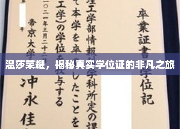温莎荣耀，揭秘真实学位证的非凡之旅