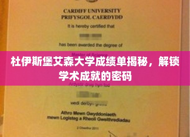 杜伊斯堡艾森大学成绩单揭秘，解锁学术成就的密码