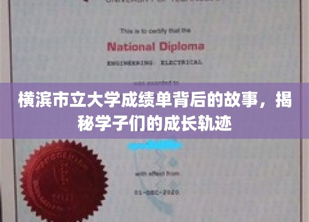 探寻横滨学子足迹，市立大学成绩单背后的青春故事