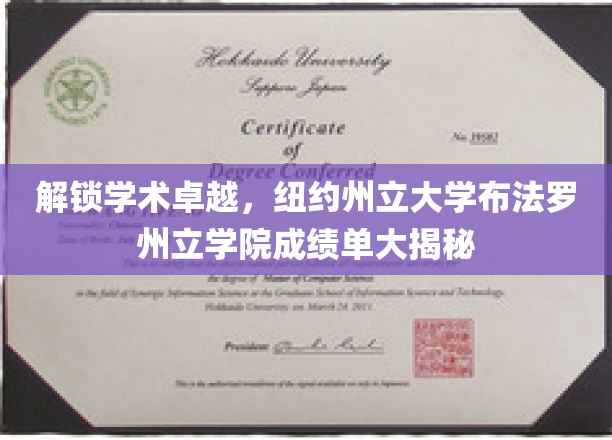 揭开学术殿堂的秘密，纽约州立布法罗学院成绩单背后的故事