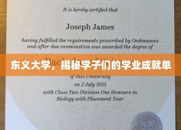 东义大学，揭秘学子们的学业成就单