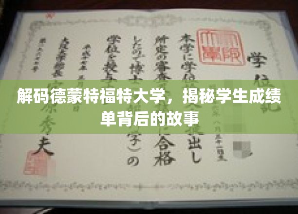 揭开德蒙特福特大学成绩单背后的秘密世界