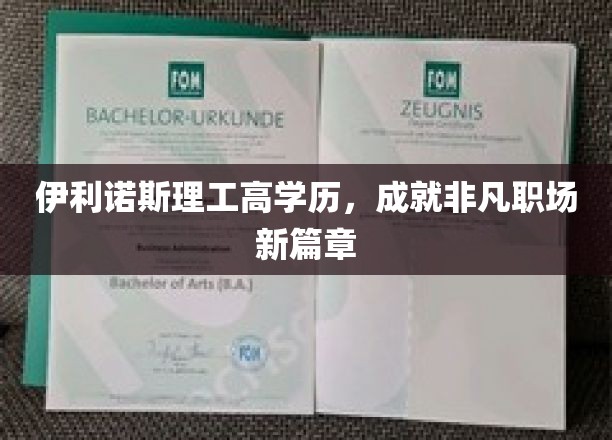 伊利诺斯理工精英崛起，谱写职场新传奇篇章