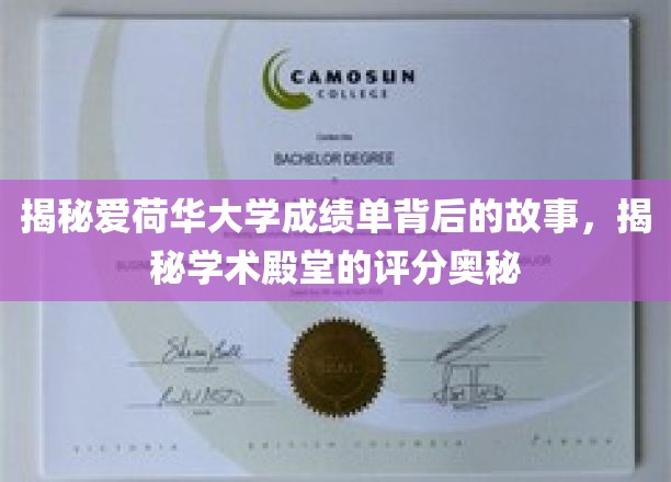 解码爱荷华大学，揭开成绩单背后的学术密码