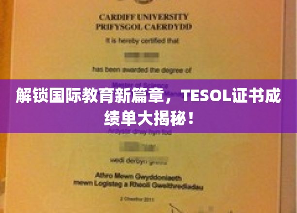全球教育新航标，TESOL证书成绩单背后的故事揭晓