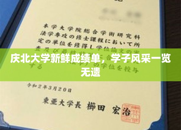 庆北学子荣耀绽放，一纸成绩单，尽展青春风采
