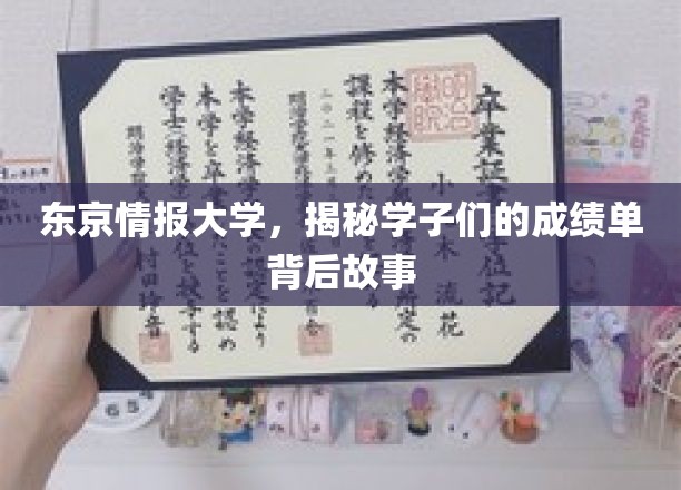 揭秘东京情报大学学子成绩单背后的成长轨迹