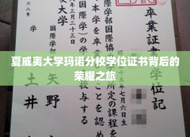 夏威夷大学玛诺分校学位证书背后的荣耀之旅