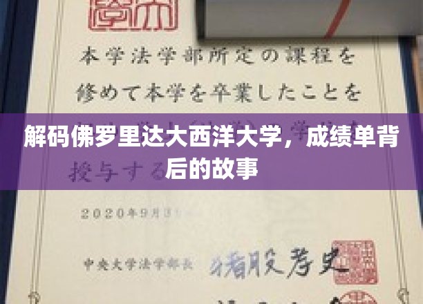 探寻佛罗里达大西洋大学成绩单背后的神秘面纱