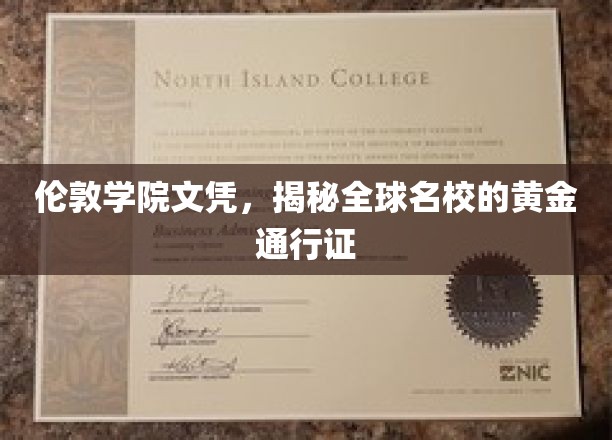 伦敦学院文凭，揭秘全球名校的黄金通行证