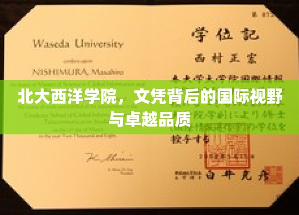 北大西洋学院，国际视野与卓越品质的文凭之路