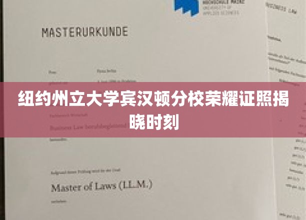 纽约州立大学宾汉顿分校荣耀盛典，学子们梦寐以求的证照揭晓！