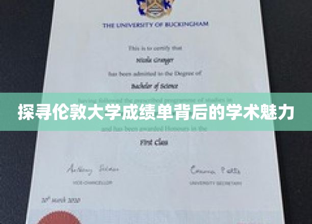 解码伦敦大学成绩单，一场学术与智慧的精彩对话